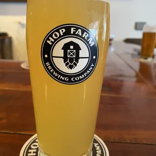 Dinosaurs in Space Hazy IPA
