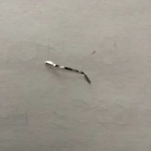 a stick stuck in a piece of paper
