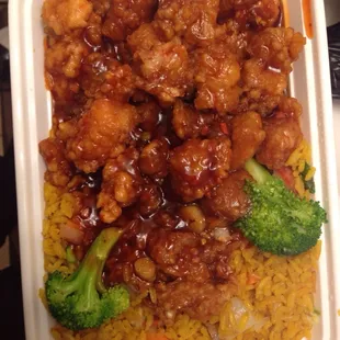 General tso's chicken...it was definitely spicy but not the best sauce I've ever had. Fried rice was unexpectedly  really good !