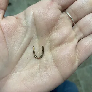 Found this in my lo mein