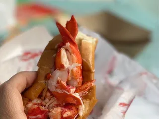 Detroit Fleat