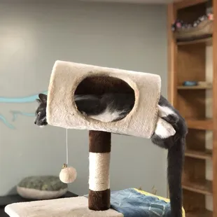 Who said I don't fit here?