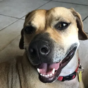 Happiness all around.