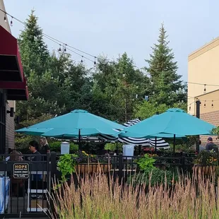 View of patio from sidewalk.