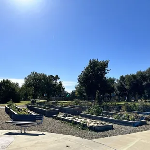Community garden next door.