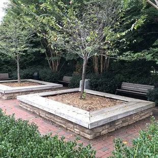 Good news smoking parents there is a place separate to playground