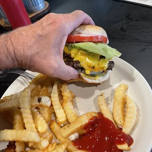 Double cheese burger