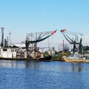 Shrimp boats
