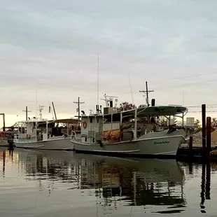 Oyster Boats