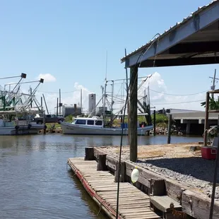 Shrimp boats