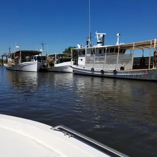 Oyster boats