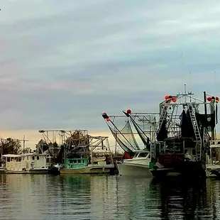 Shrimp and Oyster Boats