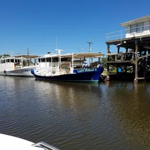 Oyster boats