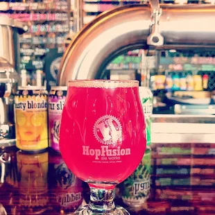 Holy Kombucha Prickly Pear