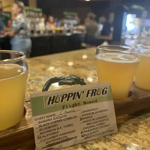 Shandy Day Flight.