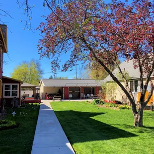 Sidewalk leading to Hoppy Girl Brewing Brewpub
