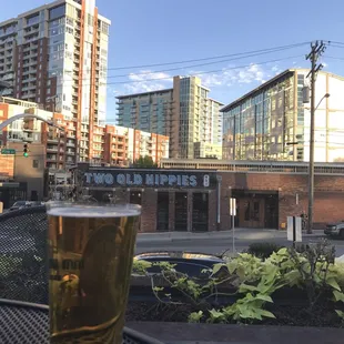 The view from the outdoor patio looking south.