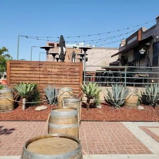 ramen and noodles, outside