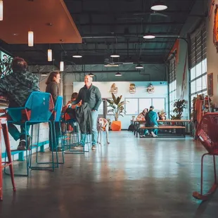 Inside brewery by the bar. Pup-friendly says it all in this photo. Thank you!  @coreyd123 on insta.