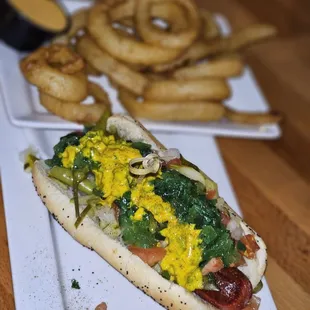 Chicago Dog &amp; Onion rings
