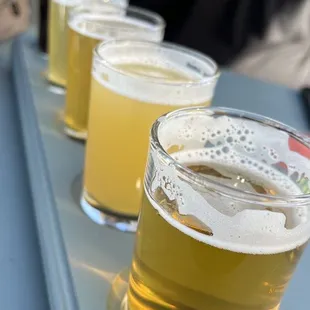 Flight: Zapped on Zappa, Sister Merry, IPiña, Guava Dreams &amp; Fluffy Puppy