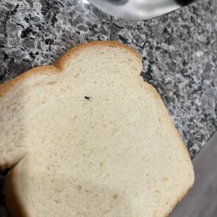Little black net on the bread