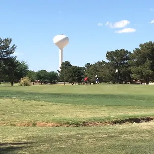 Pretty green for the time of year