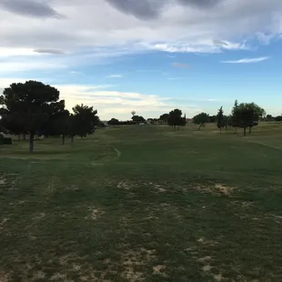 A little patchy in some parts, but it just started getting warm so I'm not sure if this is how it usually looks