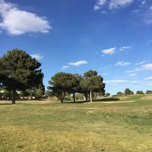 Large 18 hole course