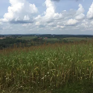 Stunning views!