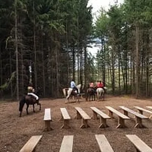 Trail ride through the magical pine forest!