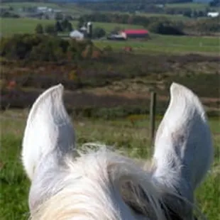 A view from above.