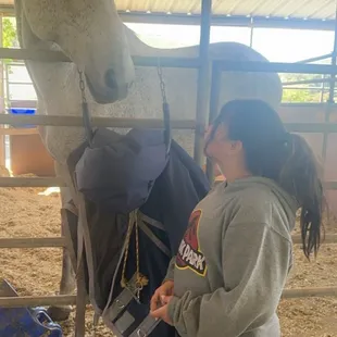 Meeting horses for the first time up close !