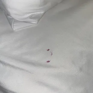 On the sheets
