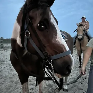 What a pretty boy, Cupid. It was love at first sight.