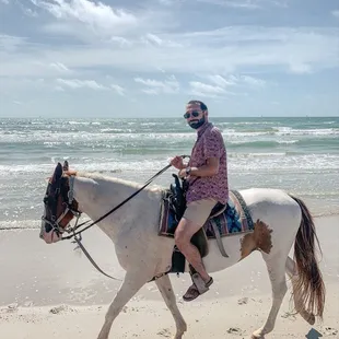 Horse on the beach