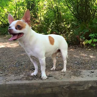 m k.