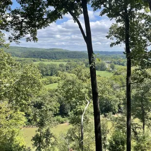 View from outdoor seating