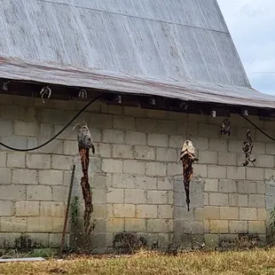 On the way to the winery you&apos;ll pass some interesting farms, etc.