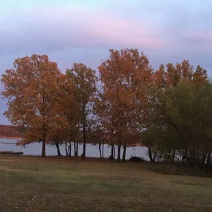 View from the cabins.