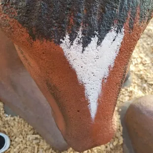 Beautiful marking on the horse