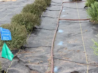 ABC Irrigation