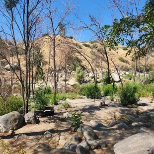 Hospital Flats Campground