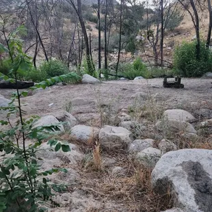 Flood in 2023 washed away sand and left it very rocky on Site 19