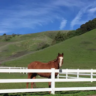 K S.
