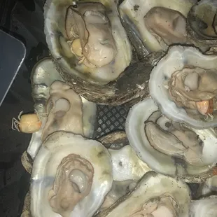 oysters, oysters and mussels, mussels, shellfish, food