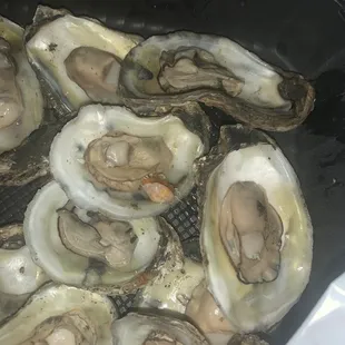 oysters, food, oysters and mussels, shellfish, mussels