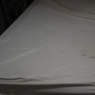 This was what we found under the thin bed cover