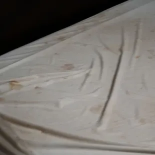 This was what we found under the thin bed cover