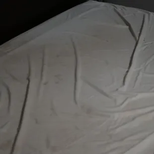 This was what we found under the thin bed cover